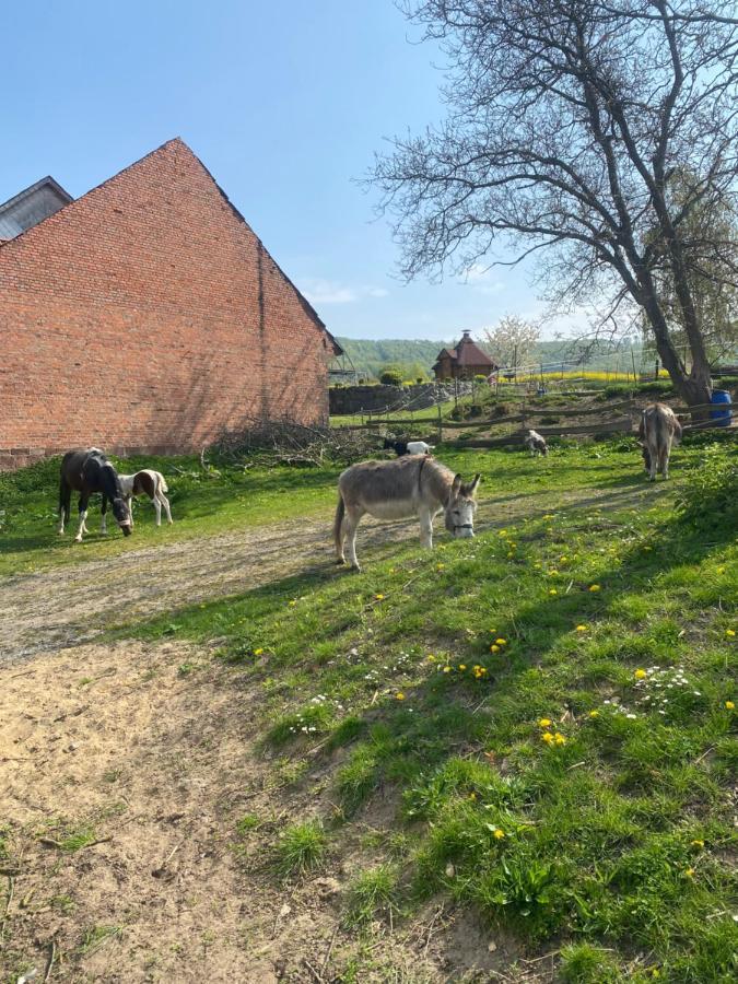 Apartment Im Reit- Und Ponyparadies Roos *