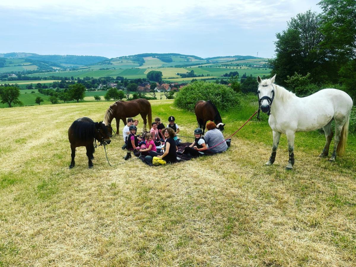 Im Reit- Und Ponyparadies Roos