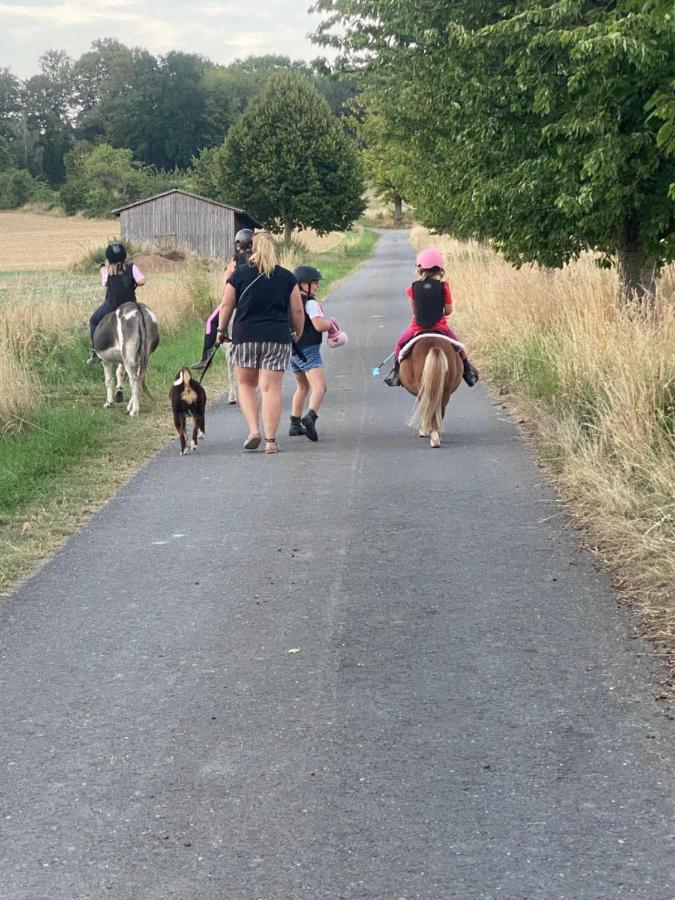 Im Reit- Und Ponyparadies Roos