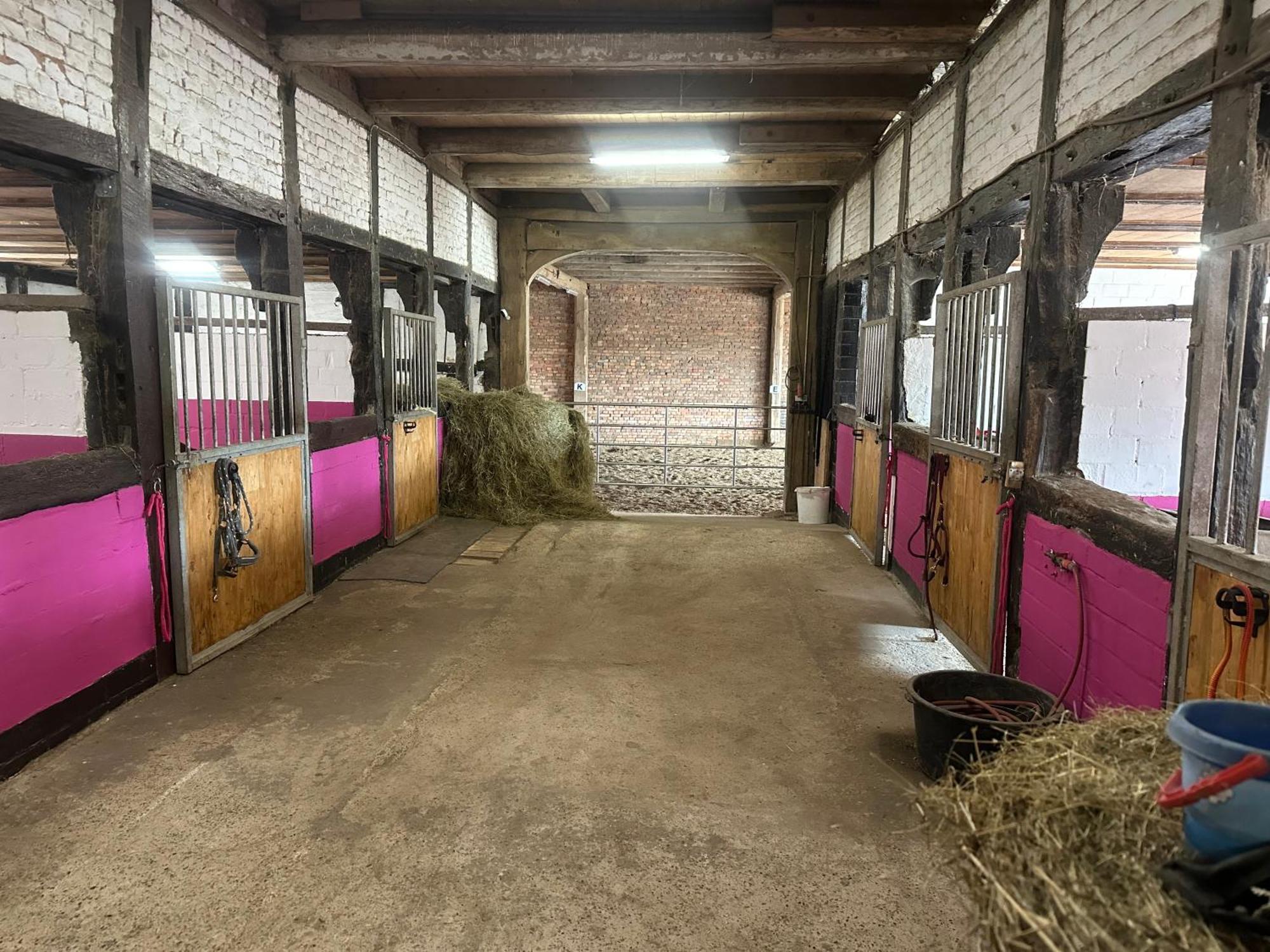 Im Reit- Und Ponyparadies Roos Apartment *