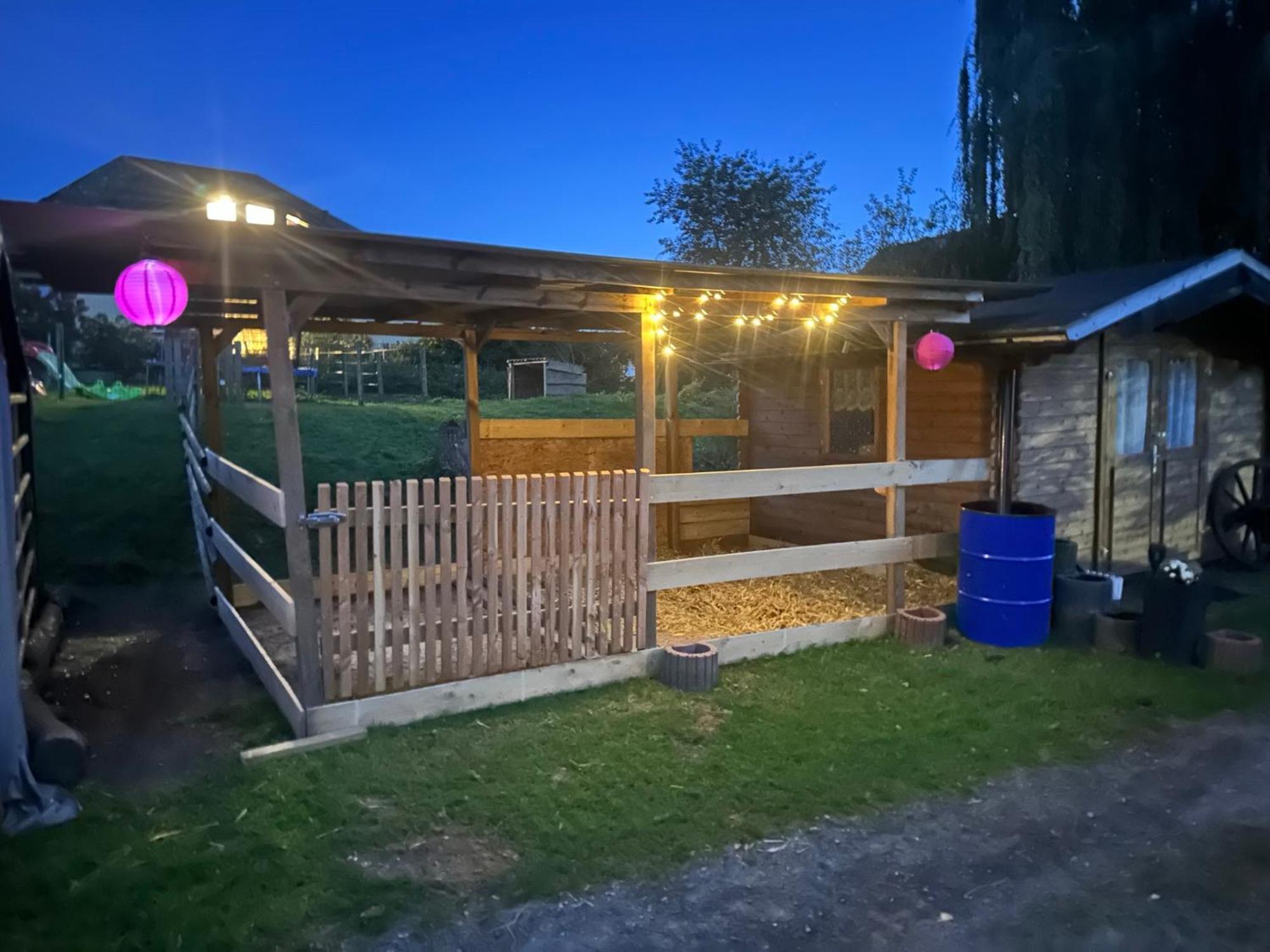 Im Reit- Und Ponyparadies Roos