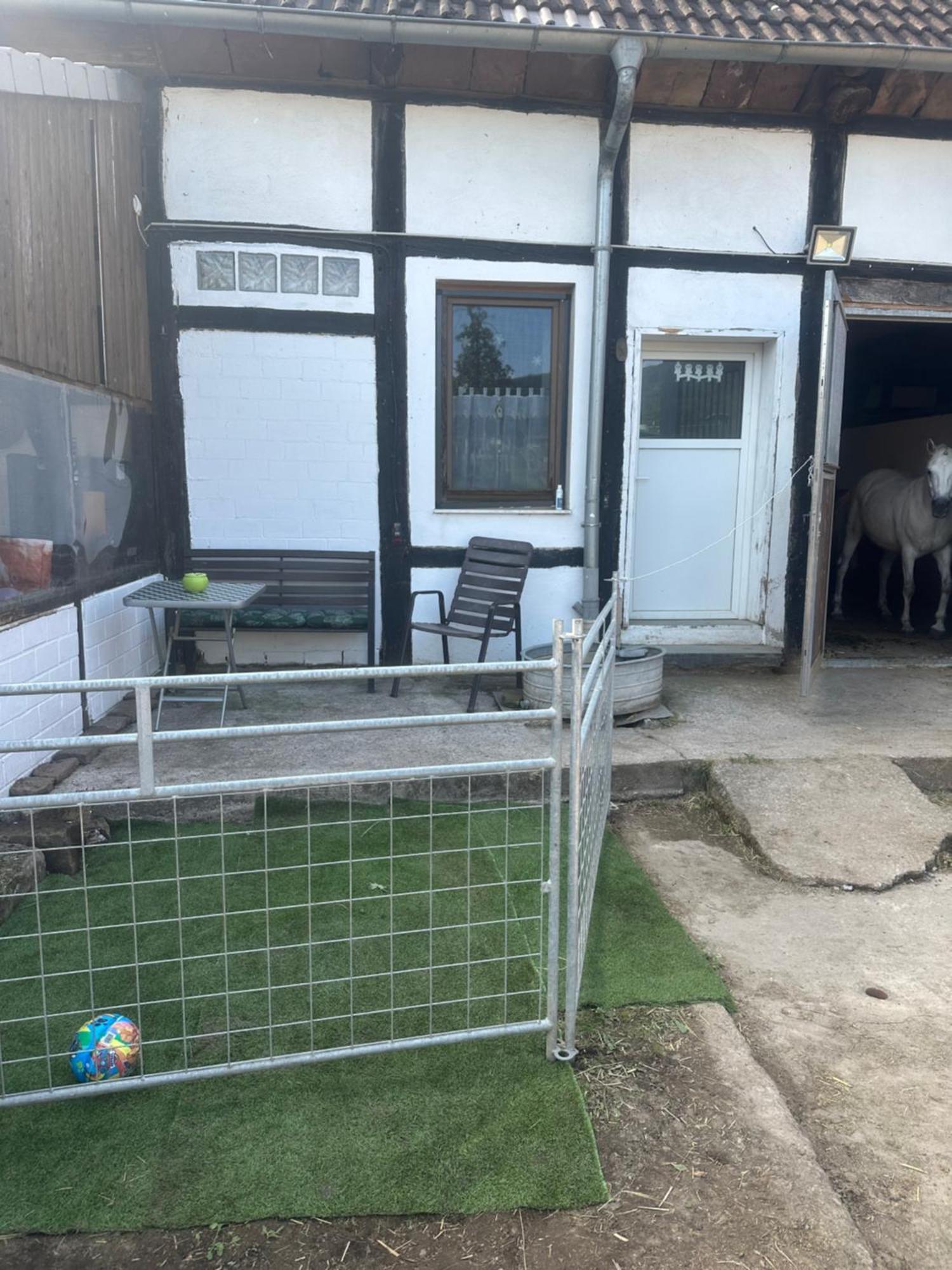 Apartment Im Reit- Und Ponyparadies Roos *